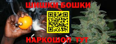 дмт Краснознаменск